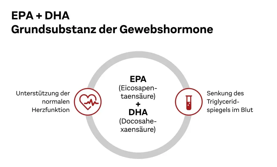 EPA + DHA: Grundsubstanz der Gewebshormone. Links steht die Unterstützung der normalen Herzfunktion, rechts die Senkung des Triglyceridspiegels im Blut. In der Mitte sind die chemischen Bezeichnungen für EPA (Eicosapentaensäure) und DHA (Docosahexaensäure) dargestellt.